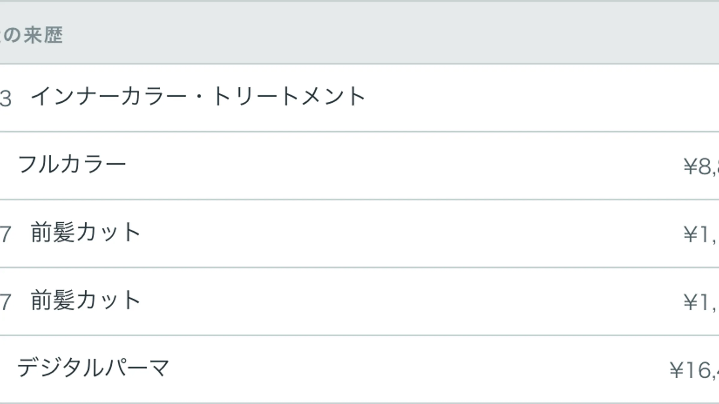 サロレジ 施術履歴 タイムライン表示